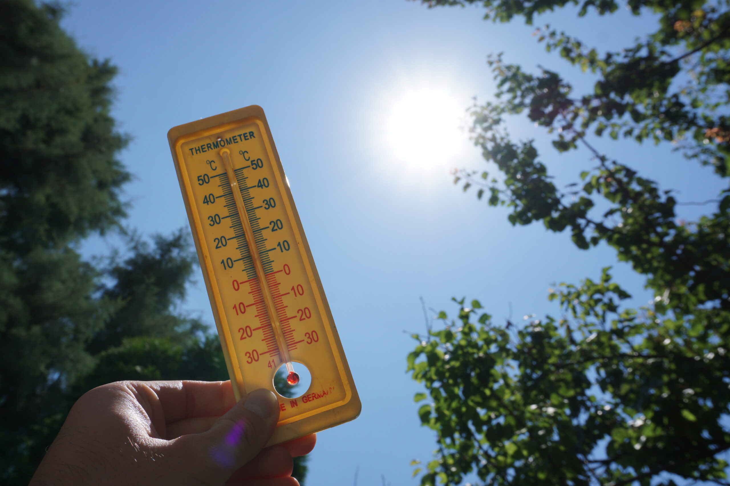 Canicule et fortes chaleurs