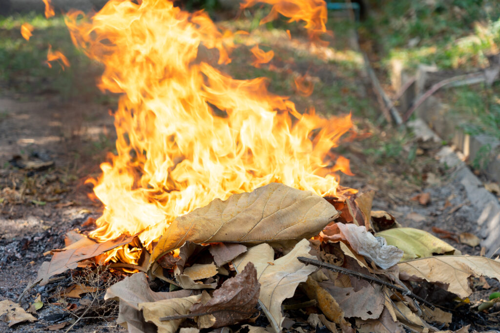 Flames from burning waste, dry leaves cause smoke, dust, air pollution causes. Concepts of airborne toxicity, burning, global warming, worsening health from smog